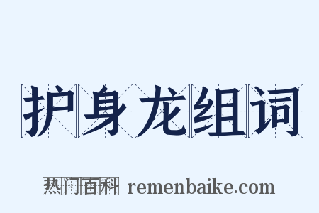 护身龙组词是什么意思的图片
